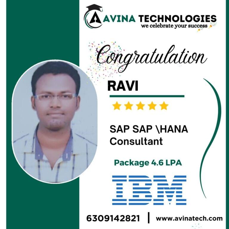 Avina Students placements
