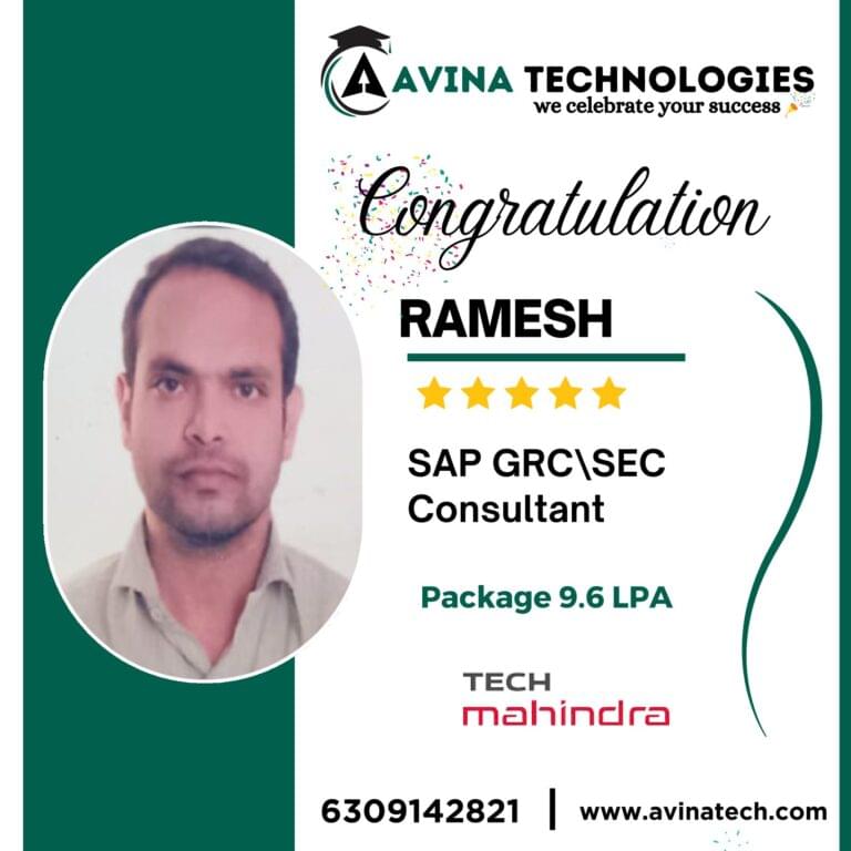 Avina Students placements
