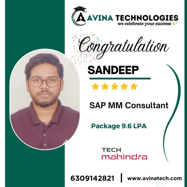 Avina Students' placements