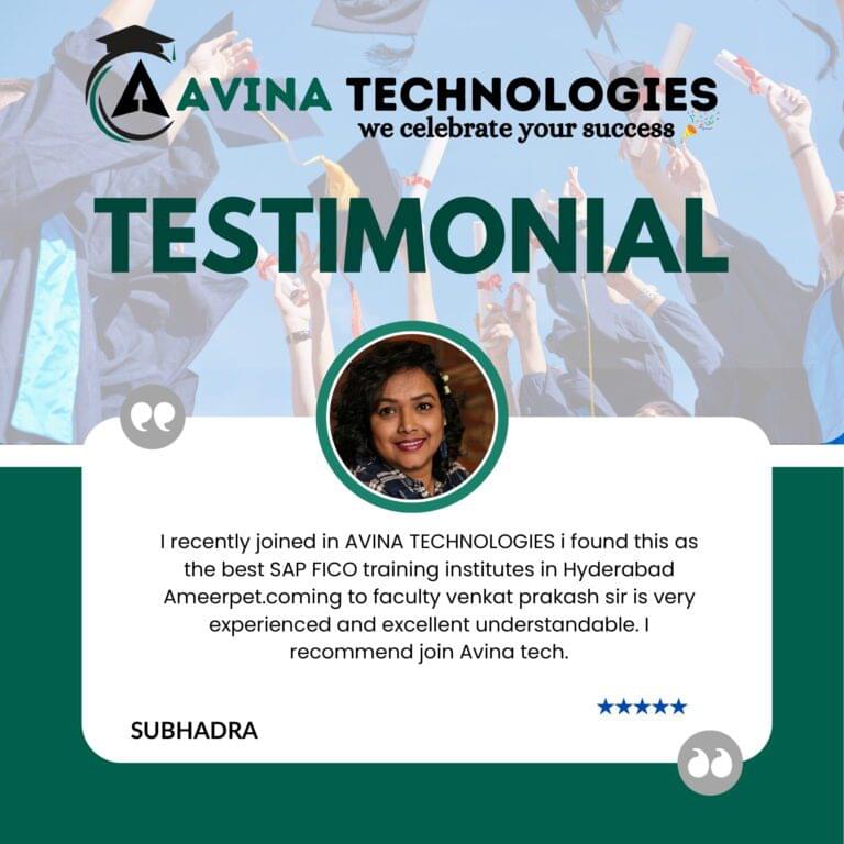 Avina website Testimonial