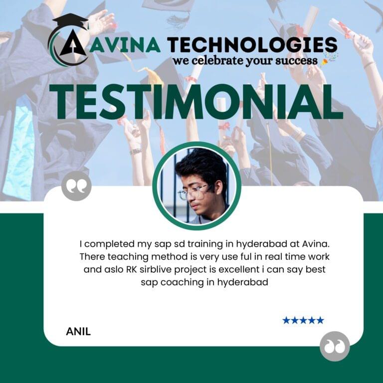 Avina website Testimonial