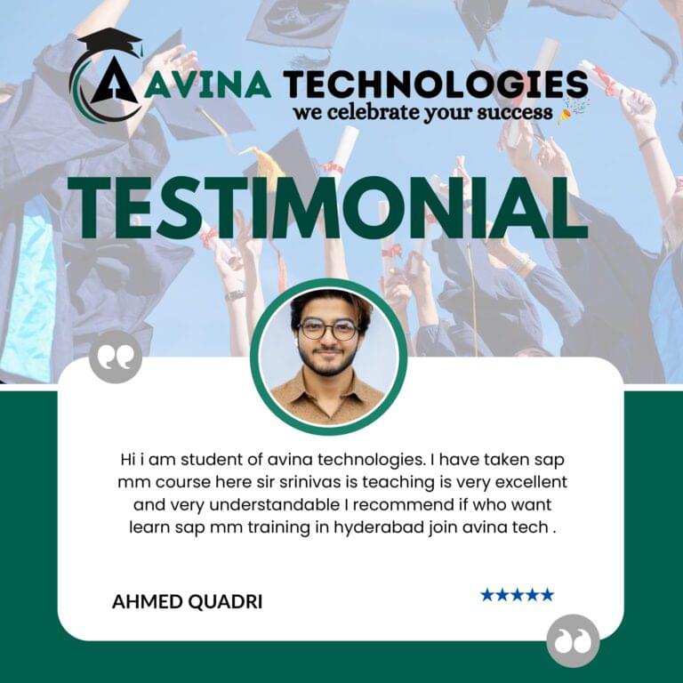 Avina website Testimonial