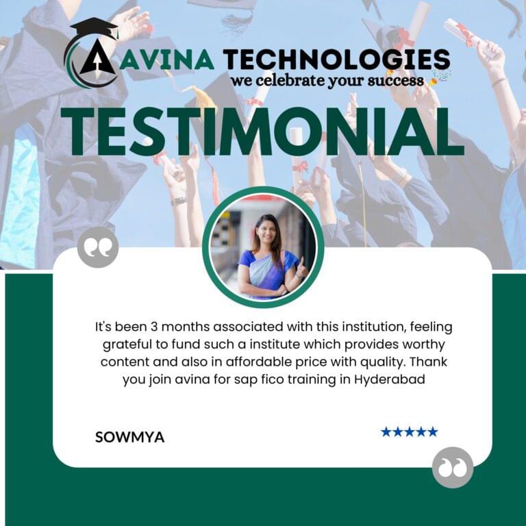 Avina website Testimonial