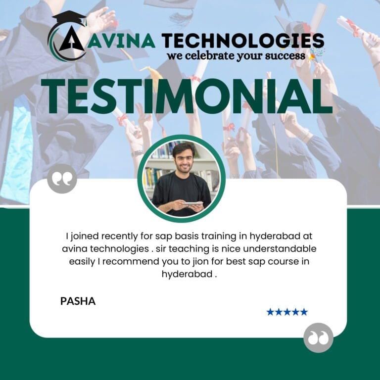 Avina website Testimonial