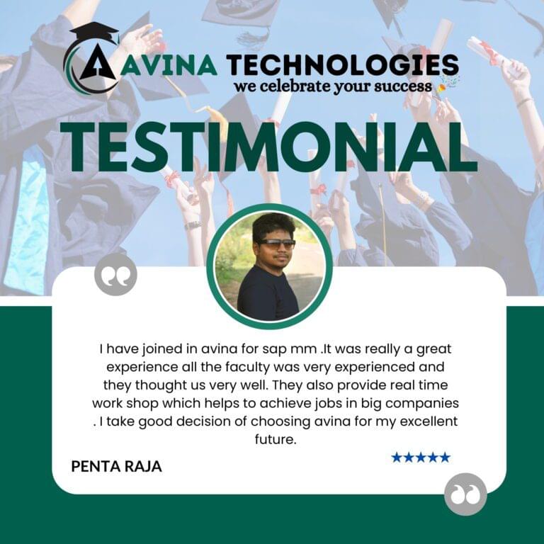 Avina website Testimonial